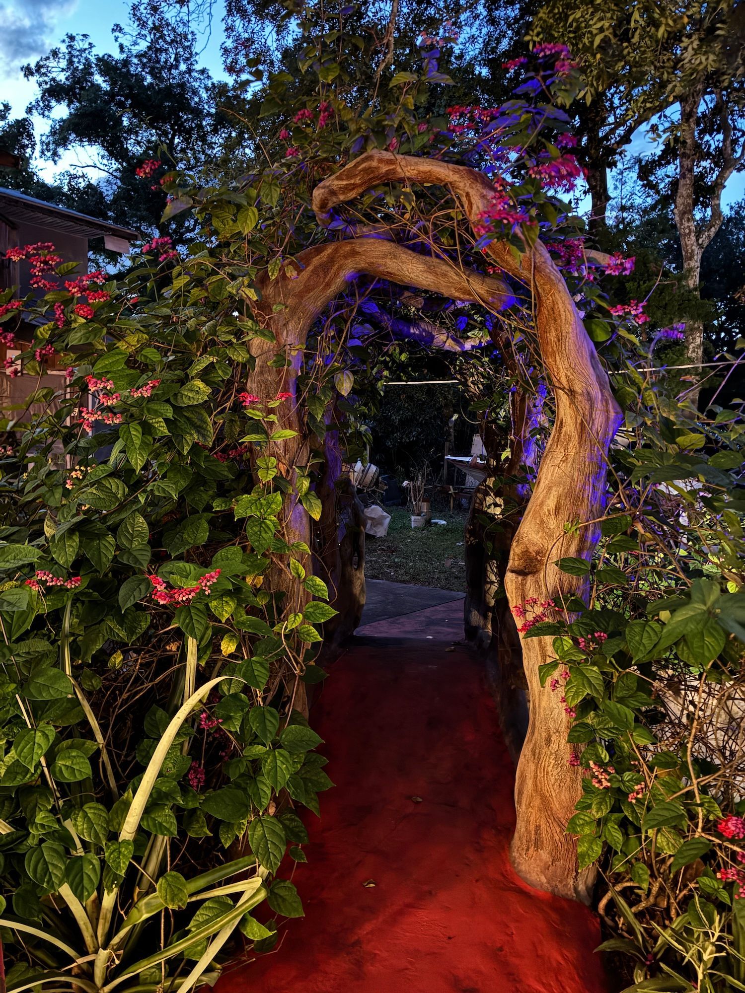 Bleeding heard bridge at night