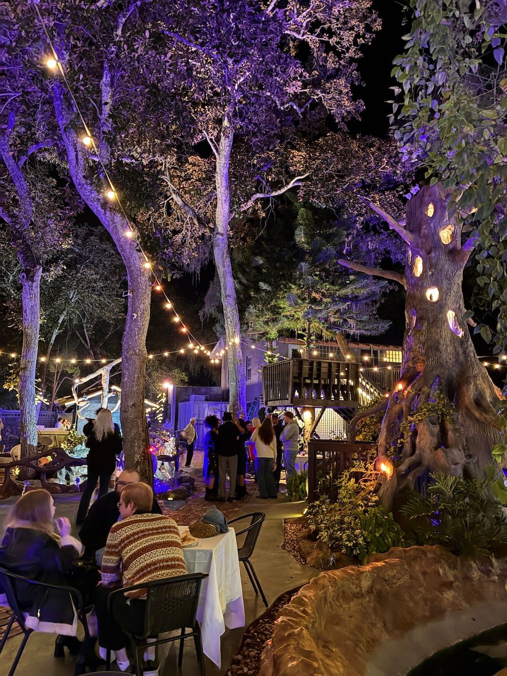 tree of fire and water party