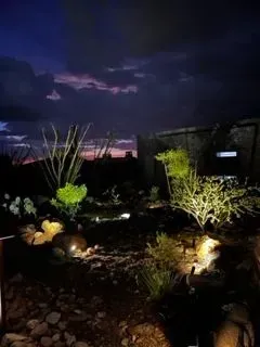 Desert landscape at dusk with illuminated plants under a dark, cloudy sky.