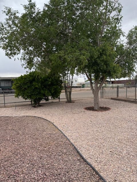 Trees, bushes, and gravel landscaping in a yard with a fence and houses in the background.