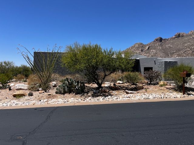 Desert landscape with xeriscaping in front of a modern house, mountains in the background under a blue sky.