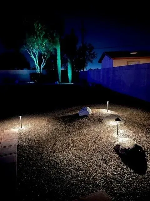 Nighttime backyard scene with path lights and uplighting on trees and a wall.