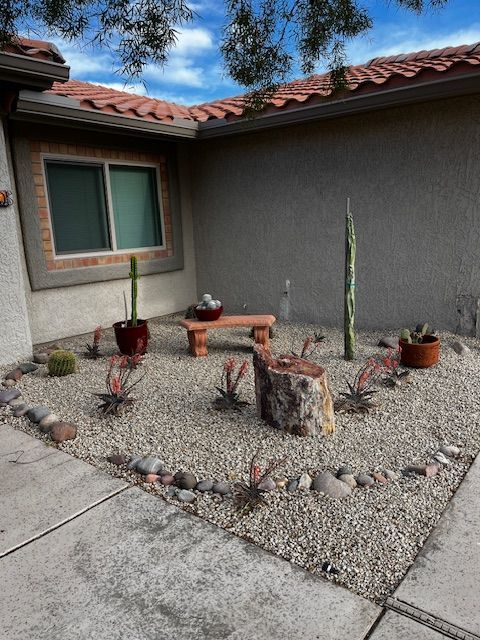 Desert landscape with cacti, gravel, and a small bench.
