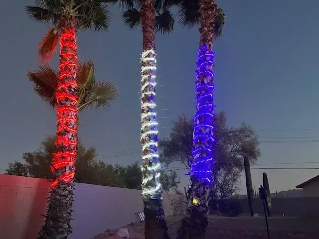 Three palm trees wrapped in red, white, and blue lights, illuminated at dusk.