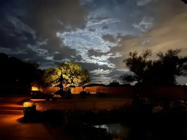 Backyard at night with pathway lights illuminating rocks and up lights on trees against a dark sky.