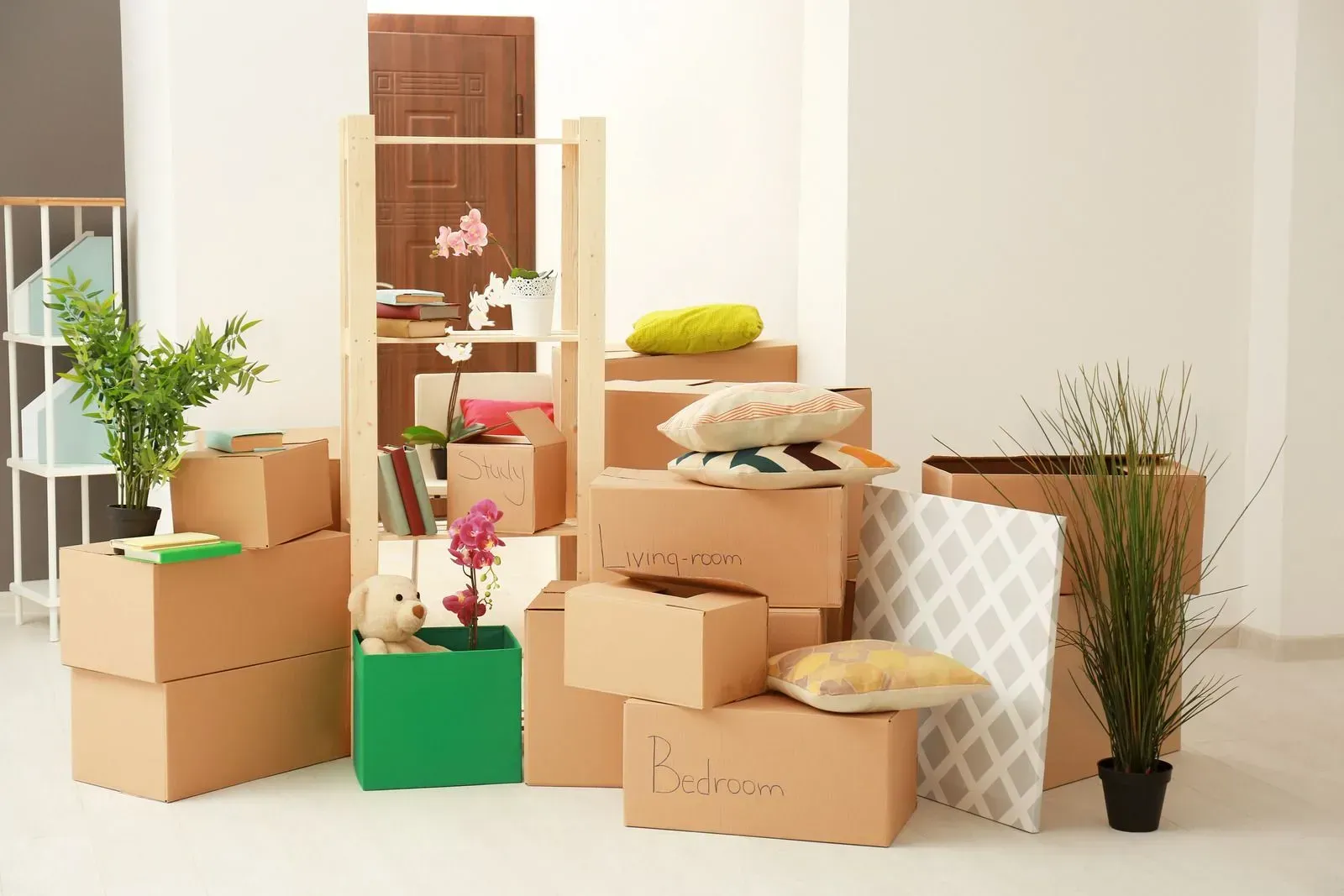 A room filled with lots of cardboard boxes and plants.