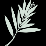 Phoenix Biotechnology