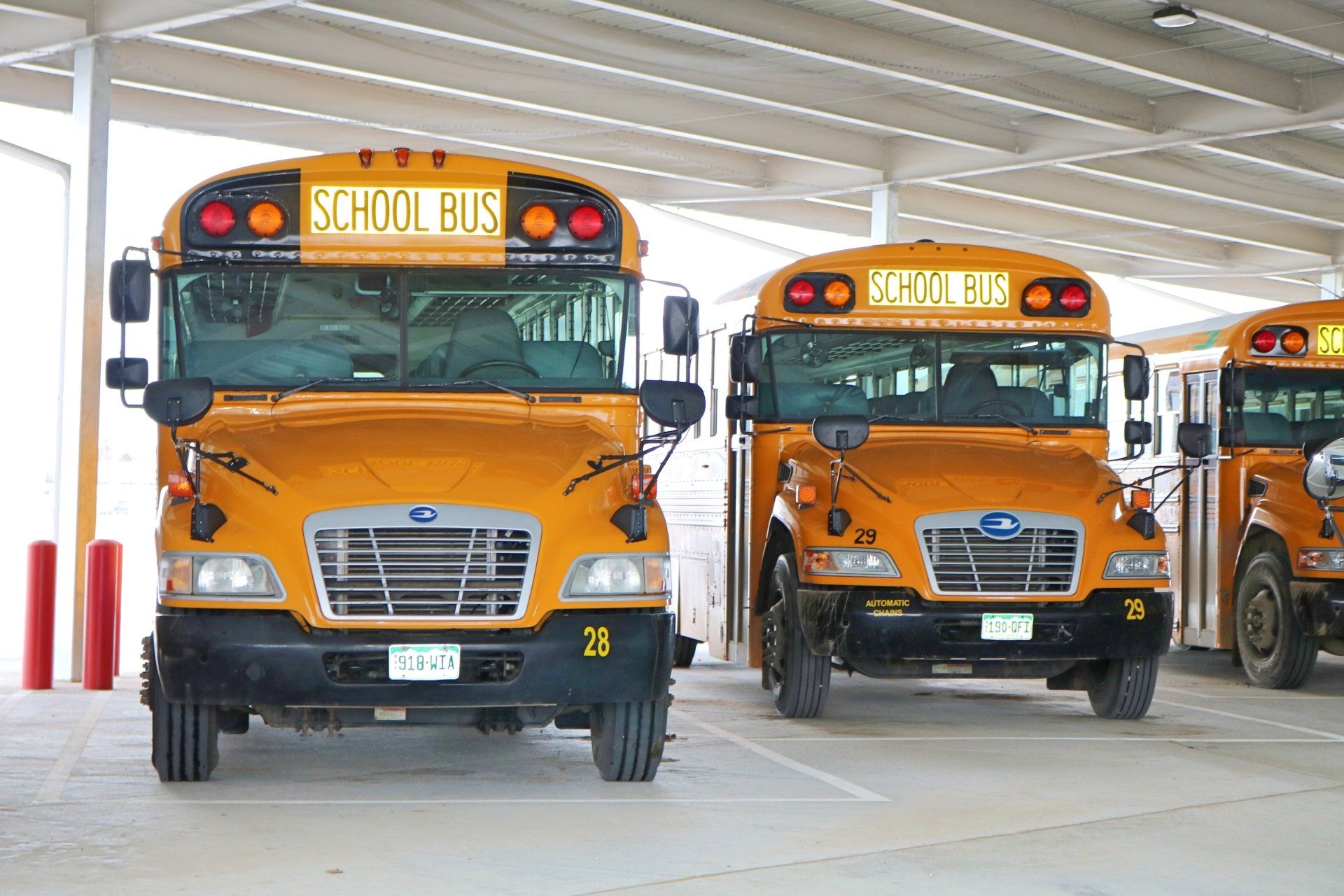 Three school buses are parked in a parking lot