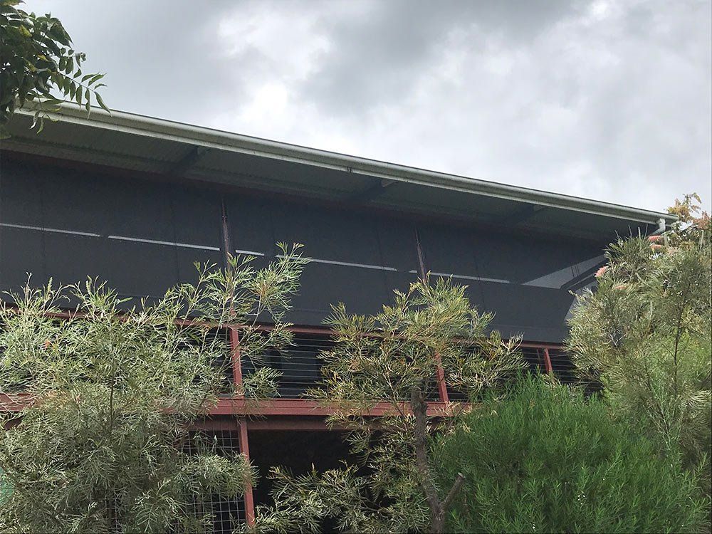 House Blinds With Trees — Shade Sail Installations in Tweed Heads, NSW