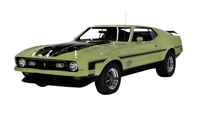 <p class="rteBlock">71-73 Mustang</p>