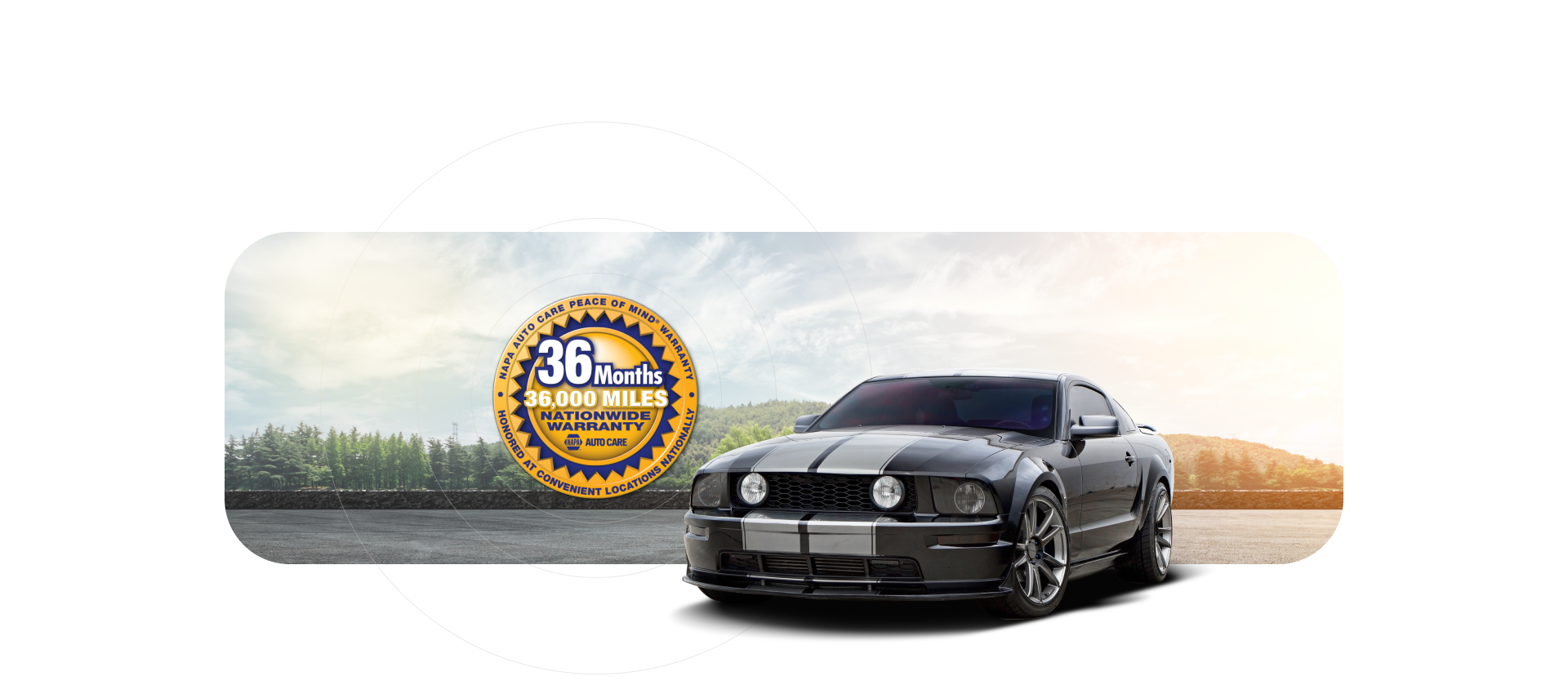 A black mustang is parked on the side of the road. | NRH Automotive