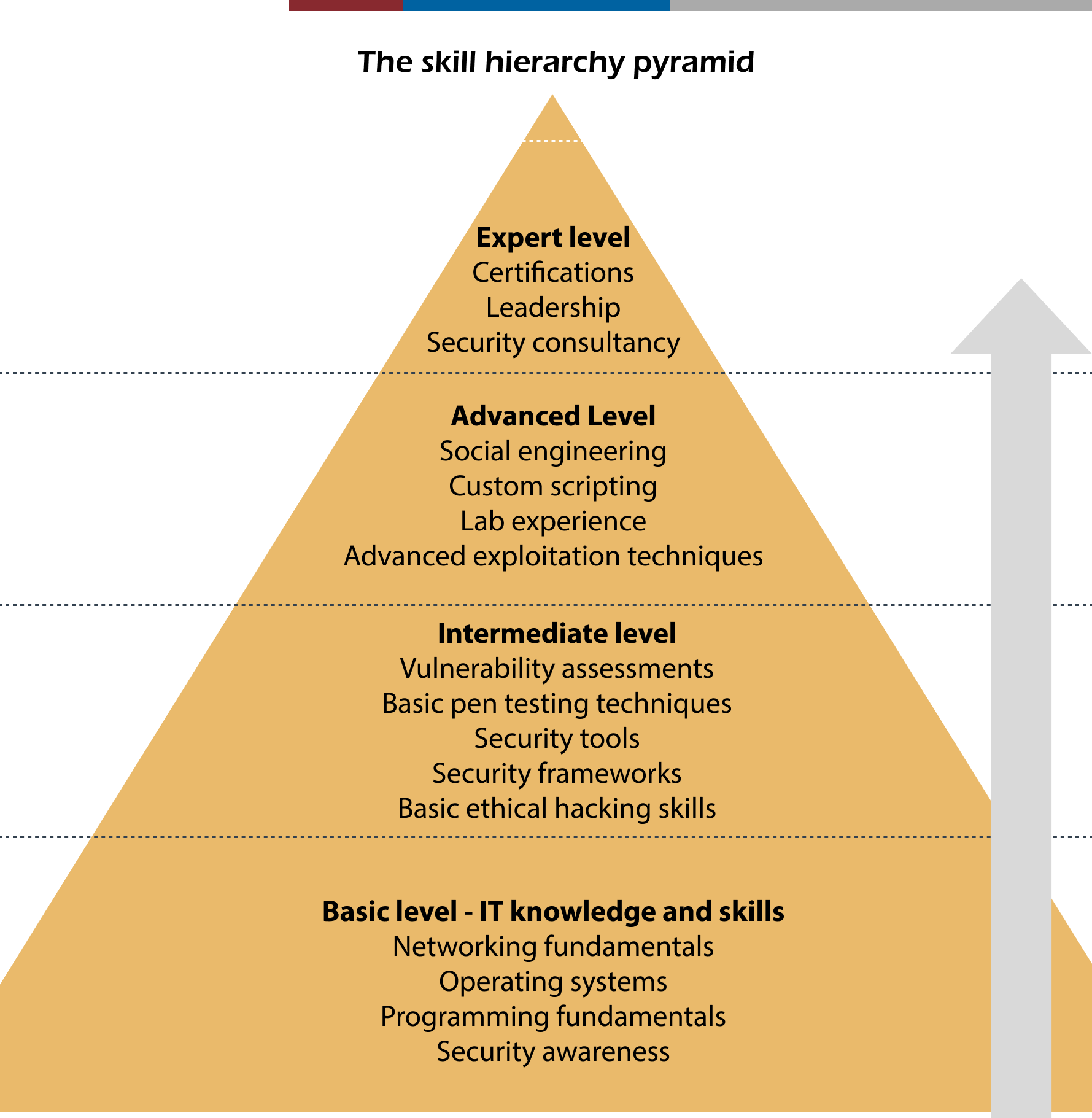 Skill Hierarchy Pyramid:
Base Layer (Foundation Level):
Networking, OS knowledge, Basic Programming, Security Awareness
Second Layer (Intermediate Level):
Vulnerability Assessments, Basic Pen Testing, Security Tools, Frameworks
Third Layer (Advanced Level):
Advanced Exploitation, Social Engineering, Custom Scripting, Lab Experience
Top Layer (Expert Level):
Certifications, Red Team Operations, Consultancy, Leadership