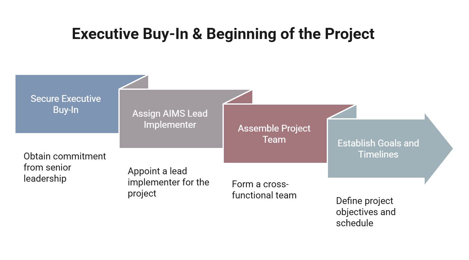 Step 1: Executive buy in and beginning of the project. Step includes secure executive buy in, assigning AIMS lead implementer, assembling project team, and establishing goals and timelines.