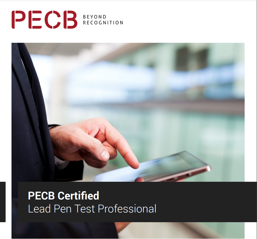Lead Pen Test Professional