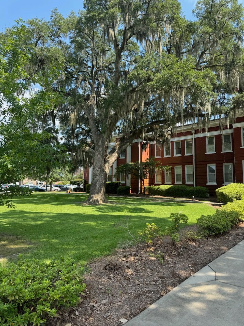 A large red building with spanish moss hanging from the trees