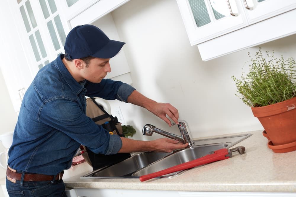 Plumber repairs residential kitchen faucet.