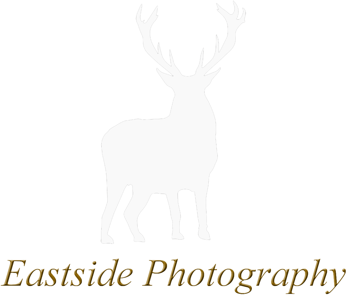 Eastside Photography logo