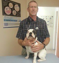 Veterinarian with Dog - Diagnostic Services