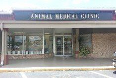 Clinic Exterior - Pet Surgery