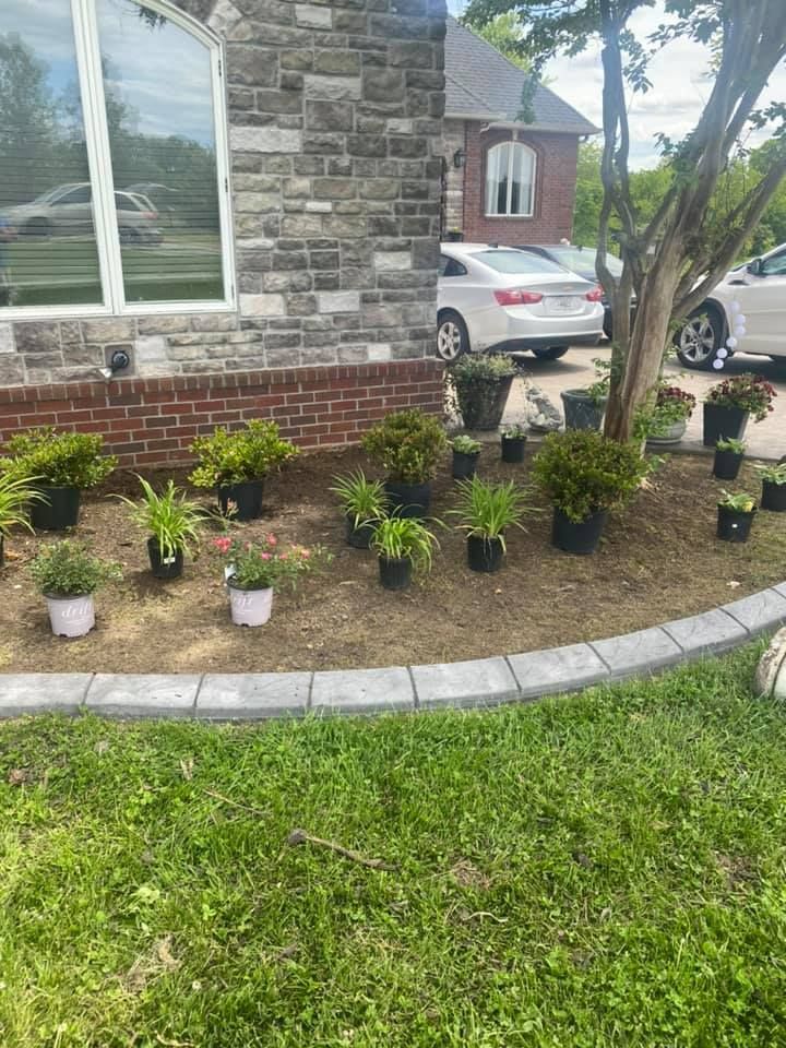A bunch of potted plants are sitting in front of a house.