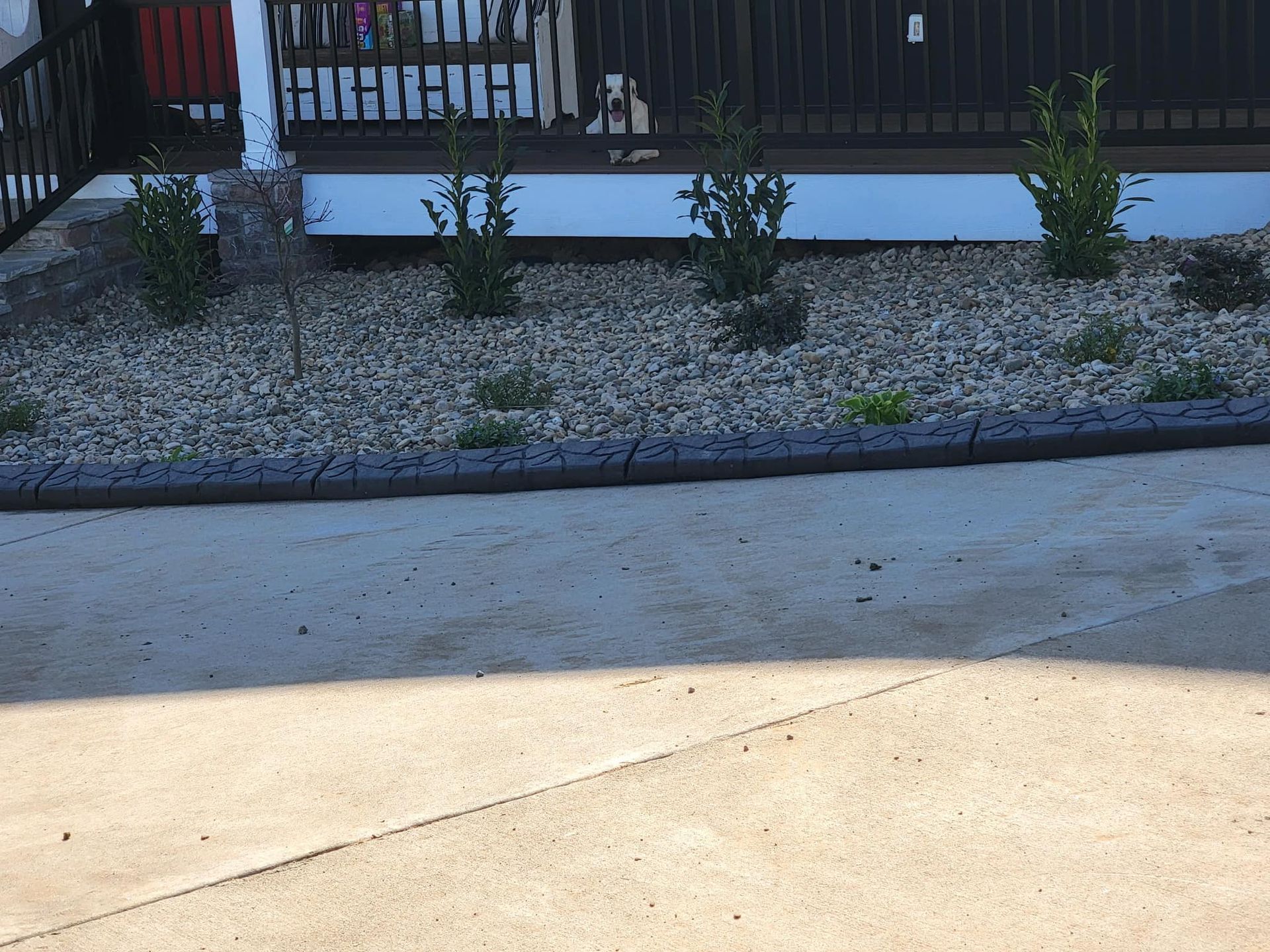 A concrete driveway with gravel and plants in front of a house