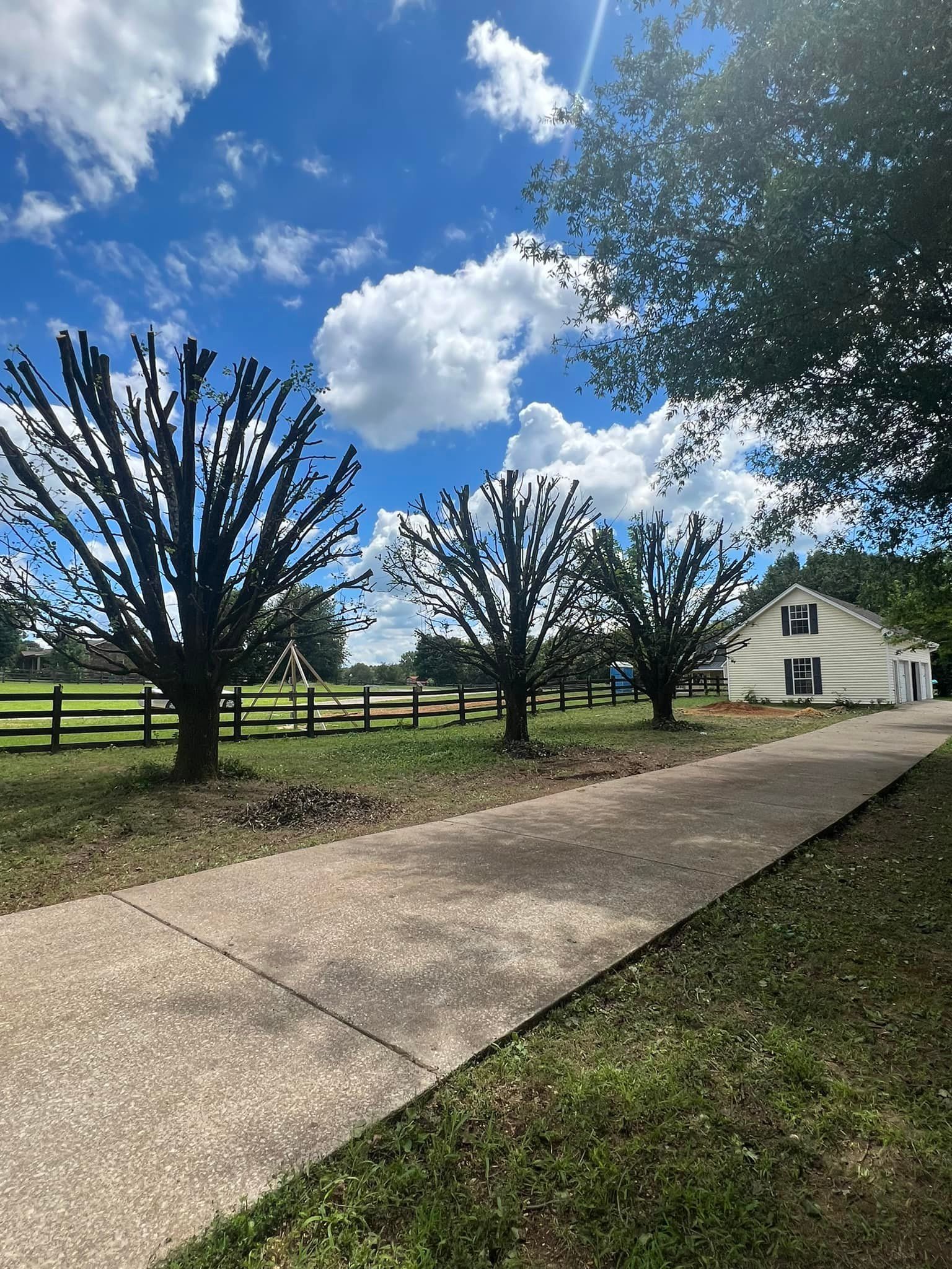 A driveway leading to a house with a fence and trees on the side of it.