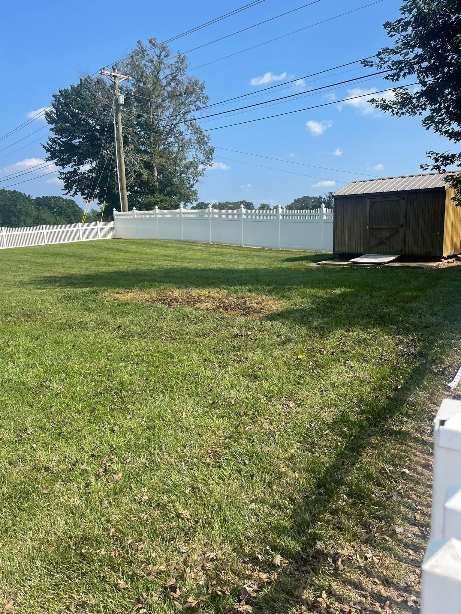 A lush green field with a white fence and a shed in the background.