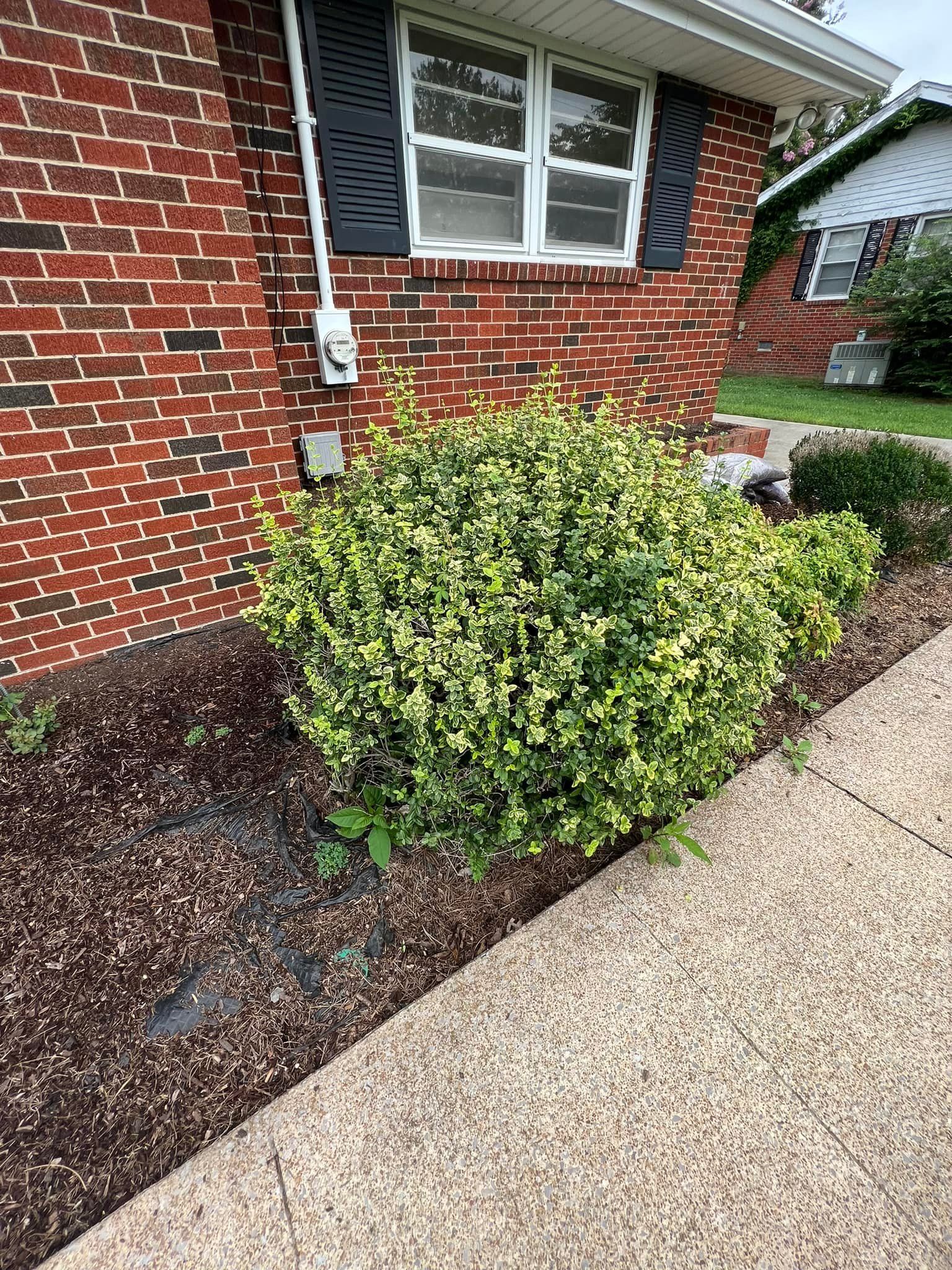 A brick house with a bush in front of it.