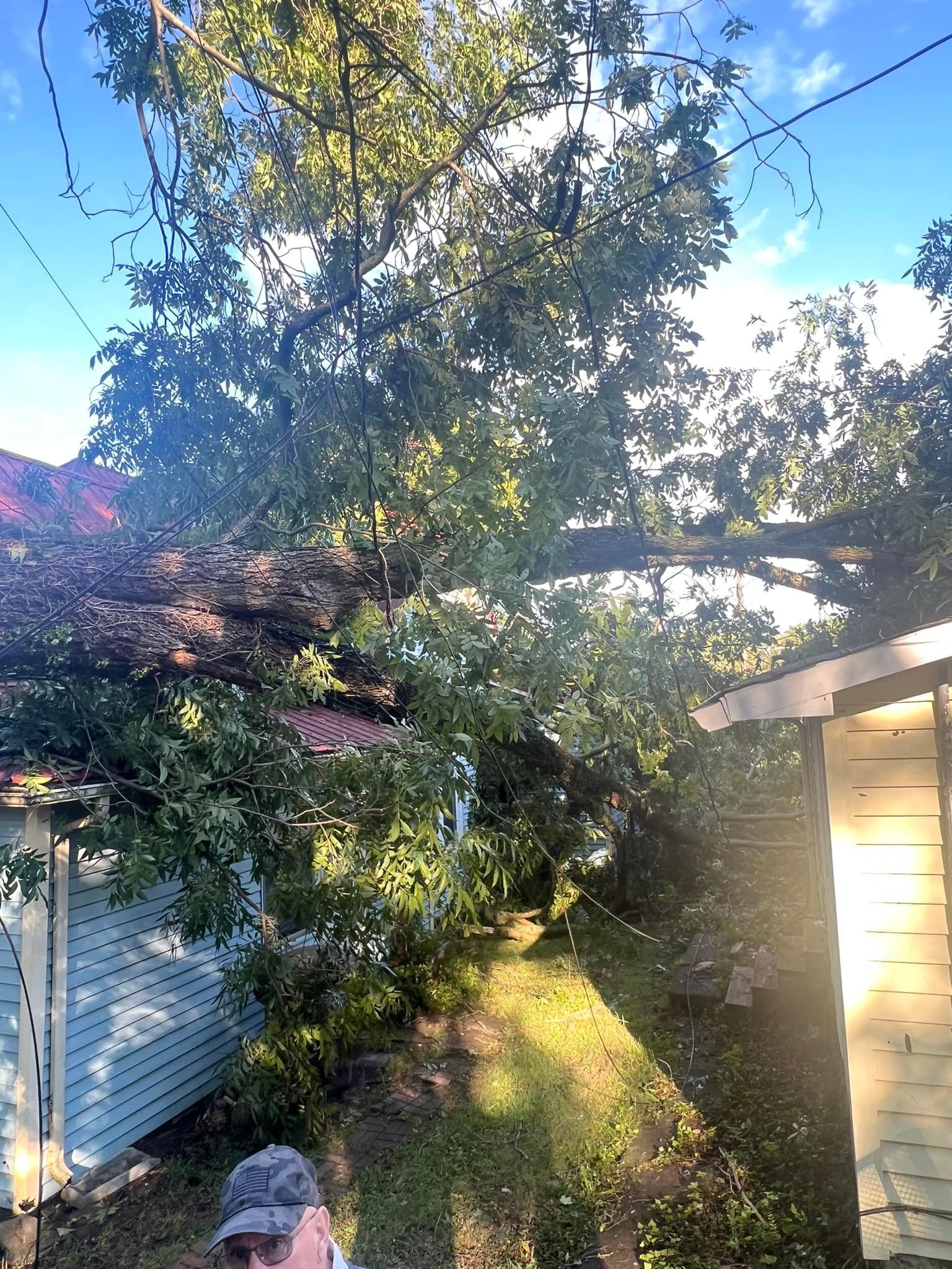 A man is standing in front of a house with a tree fallen on it.