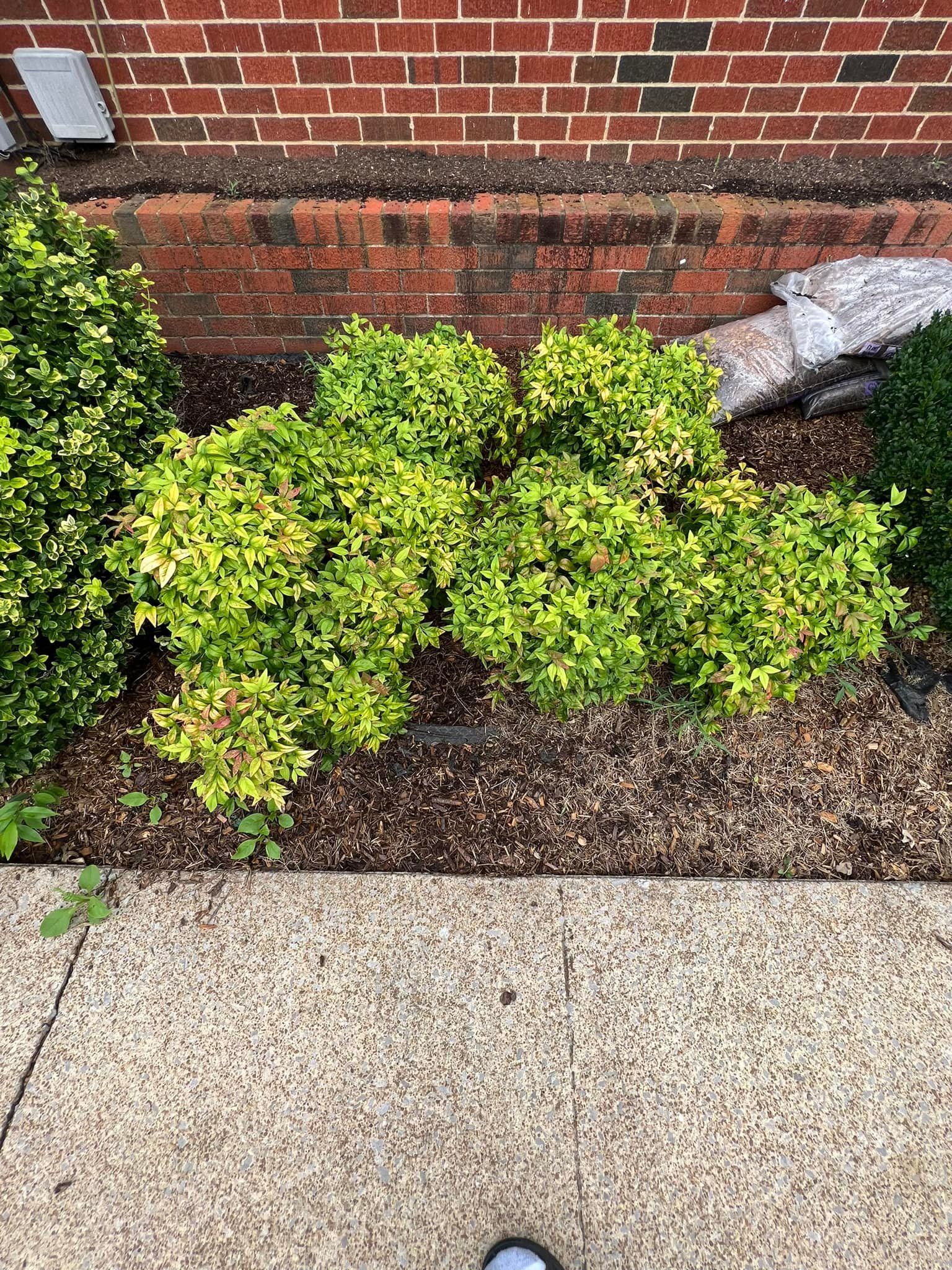 A person is standing on a sidewalk in front of a brick building.