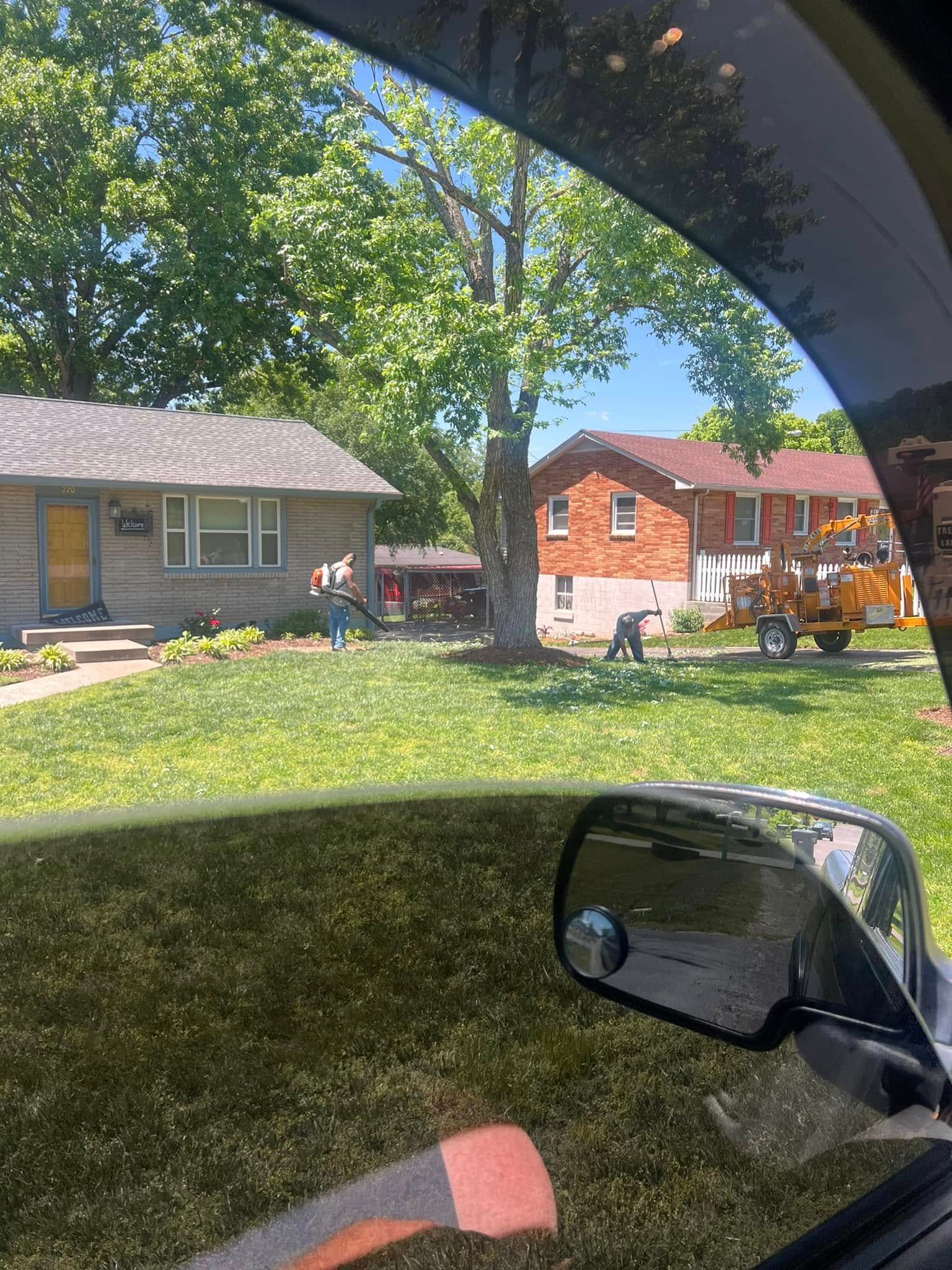A person is cutting a tree in front of a house.