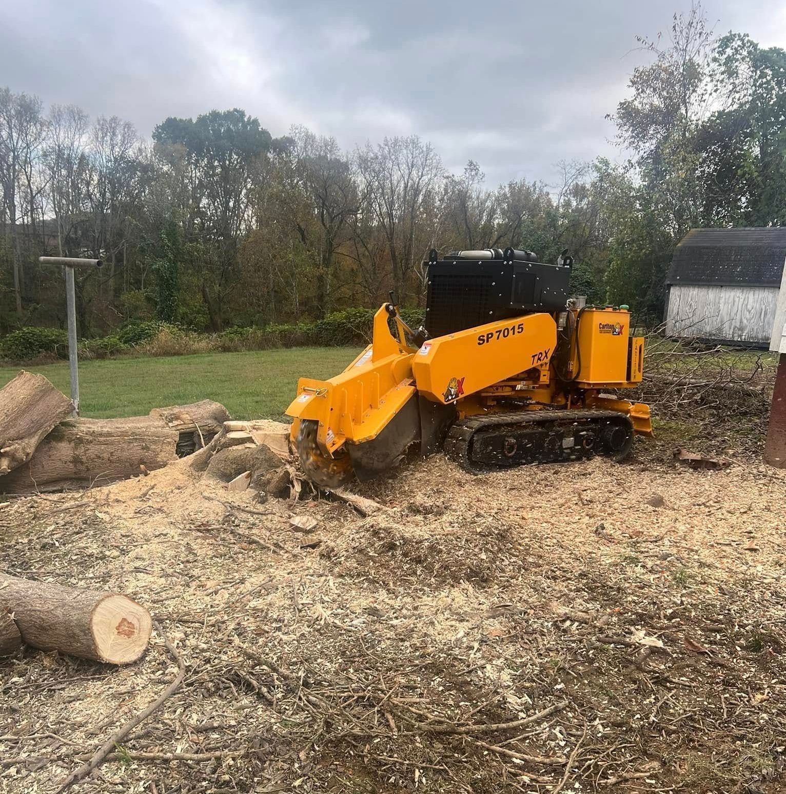 A yellow tractor is cutting a tree stump in a field.