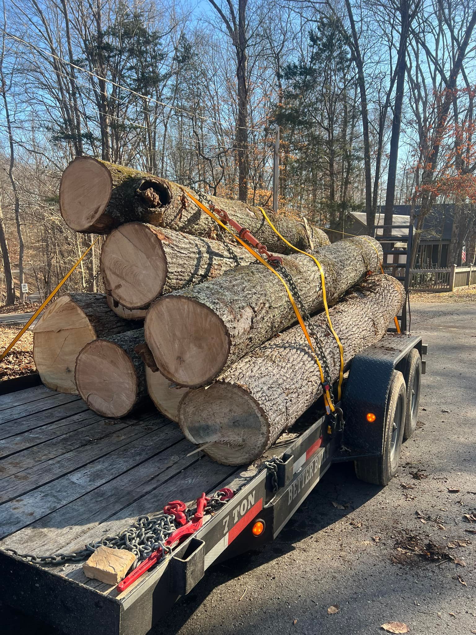A trailer filled with logs is parked on the side of the road.