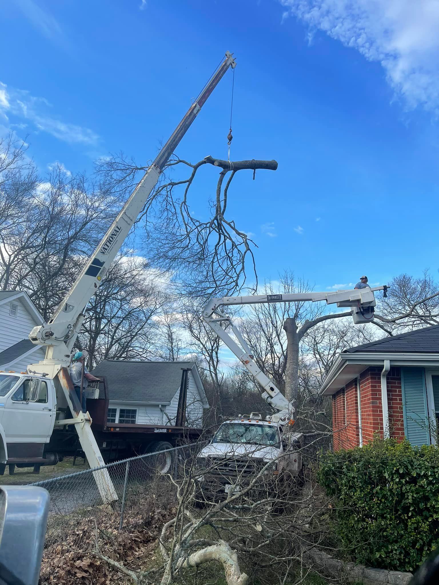 A crane is cutting a tree in front of a house.