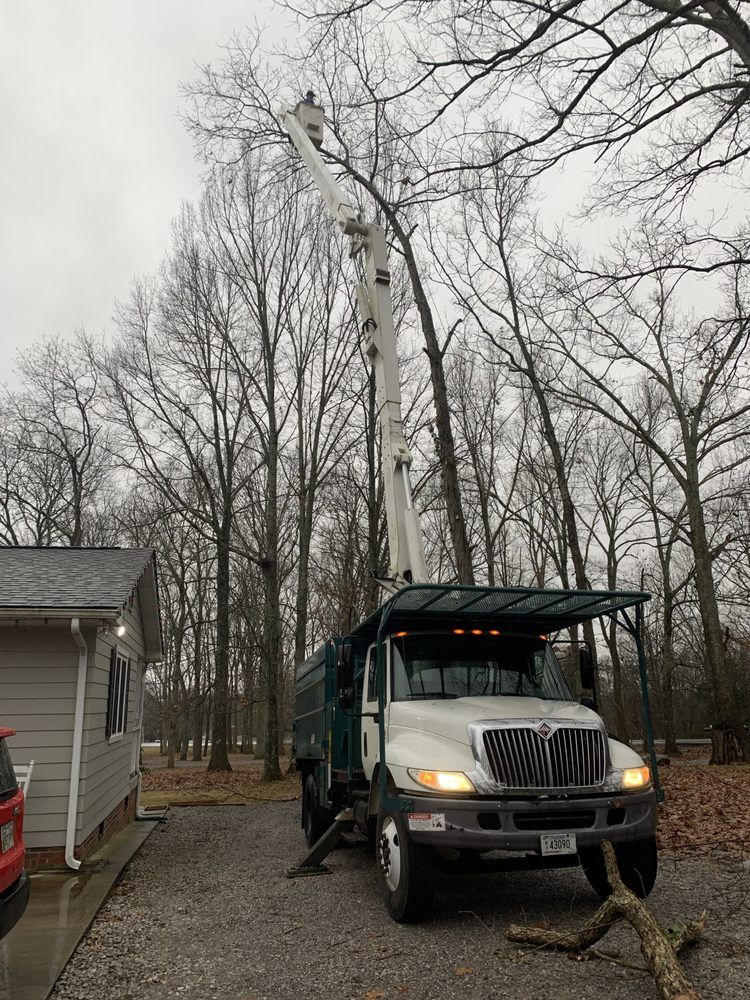 A truck with a crane attached to it is cutting a tree.
