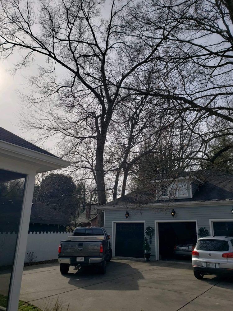 A truck is parked in a driveway in front of a house.