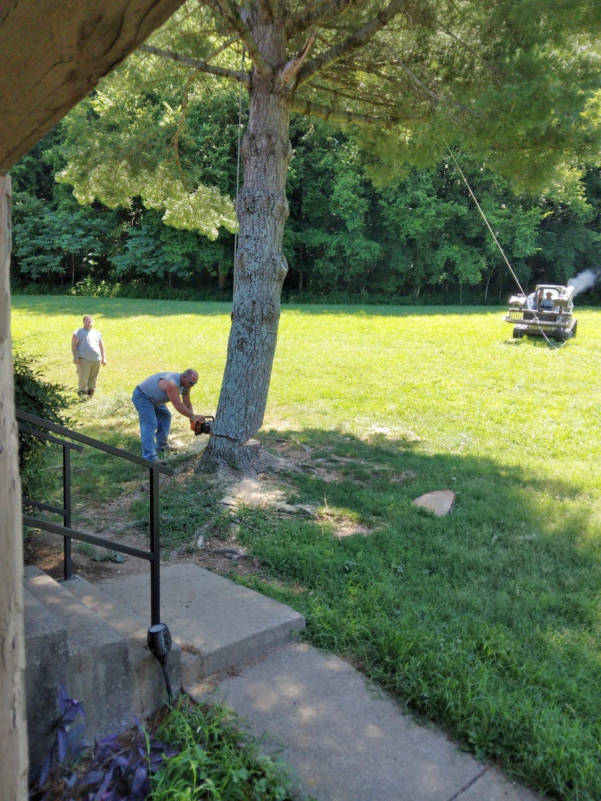 A man is standing next to a tree in a grassy field.
