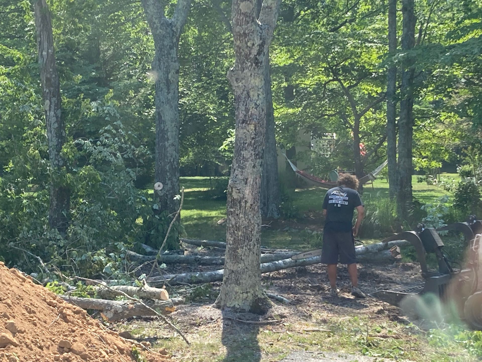 A man in a black shirt is standing in the middle of a forest
