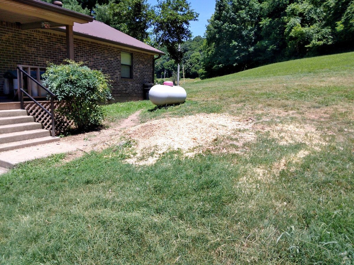 A propane tank is sitting in the grass in front of a house.