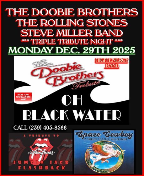 Concert flyer: Rolling Stones, Doobie Brothers, & Steve Miller Band tribute, 
