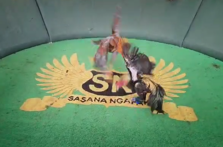 Sasana Ngapak Purwokerto Farm
