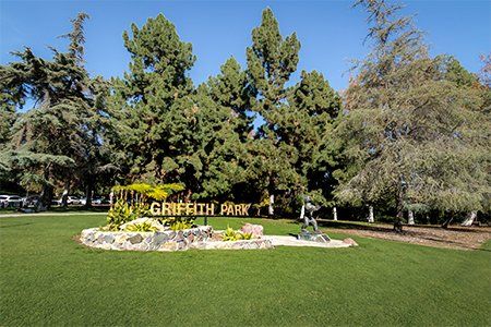 Park Sign — Virginia Beach, VA — Cardinal Sign Corporation