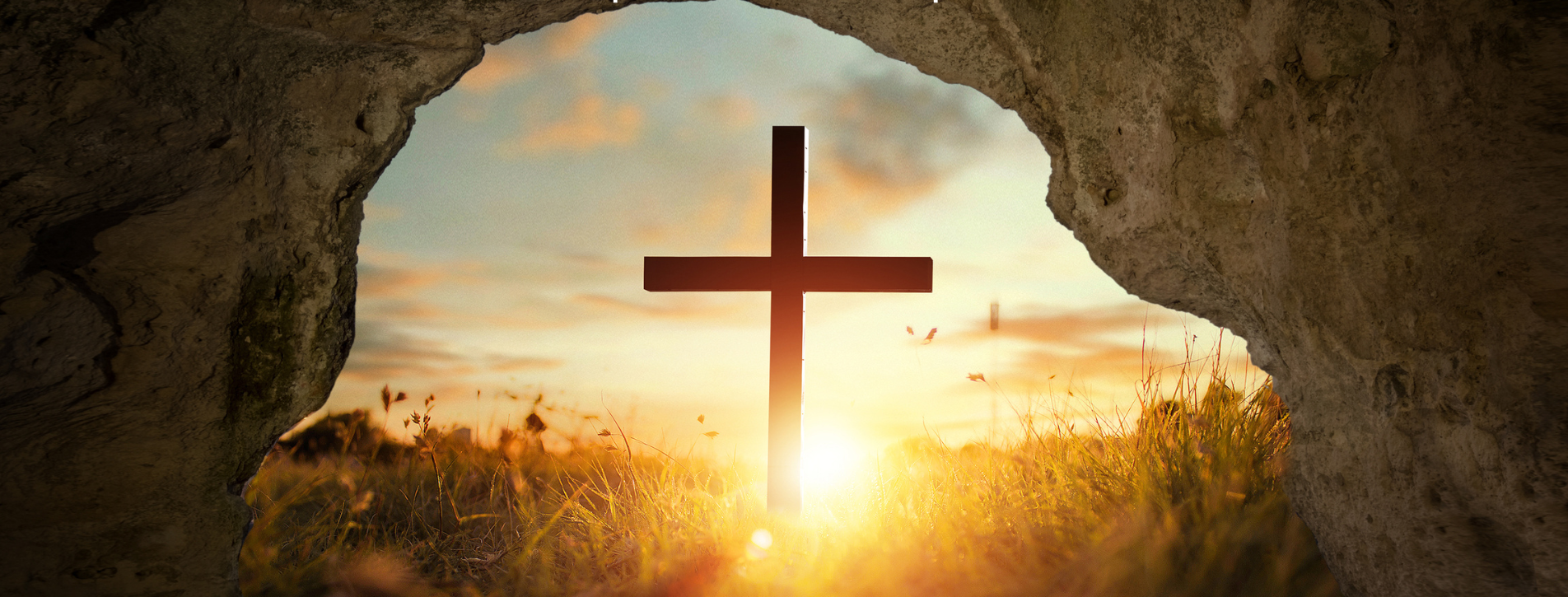 Easter Sunday Gospel and Homily with Fr. Tony Zimmer