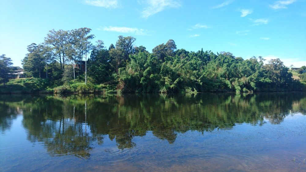 A Lake Surrounded by Trees on A Sunny Day — AAA Equipment Pty Ltd In Kempsey, NSW