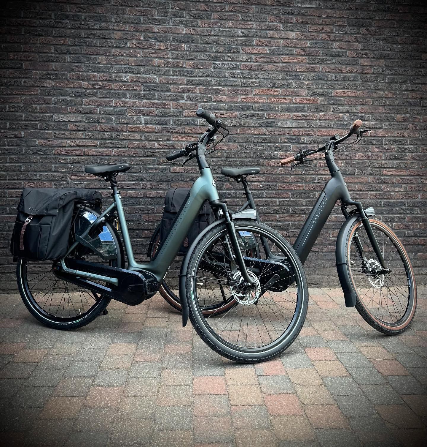 De nieuwe Gazelle Grenoble C8+ 
Stijlvol, krachtig én super comfortabel 