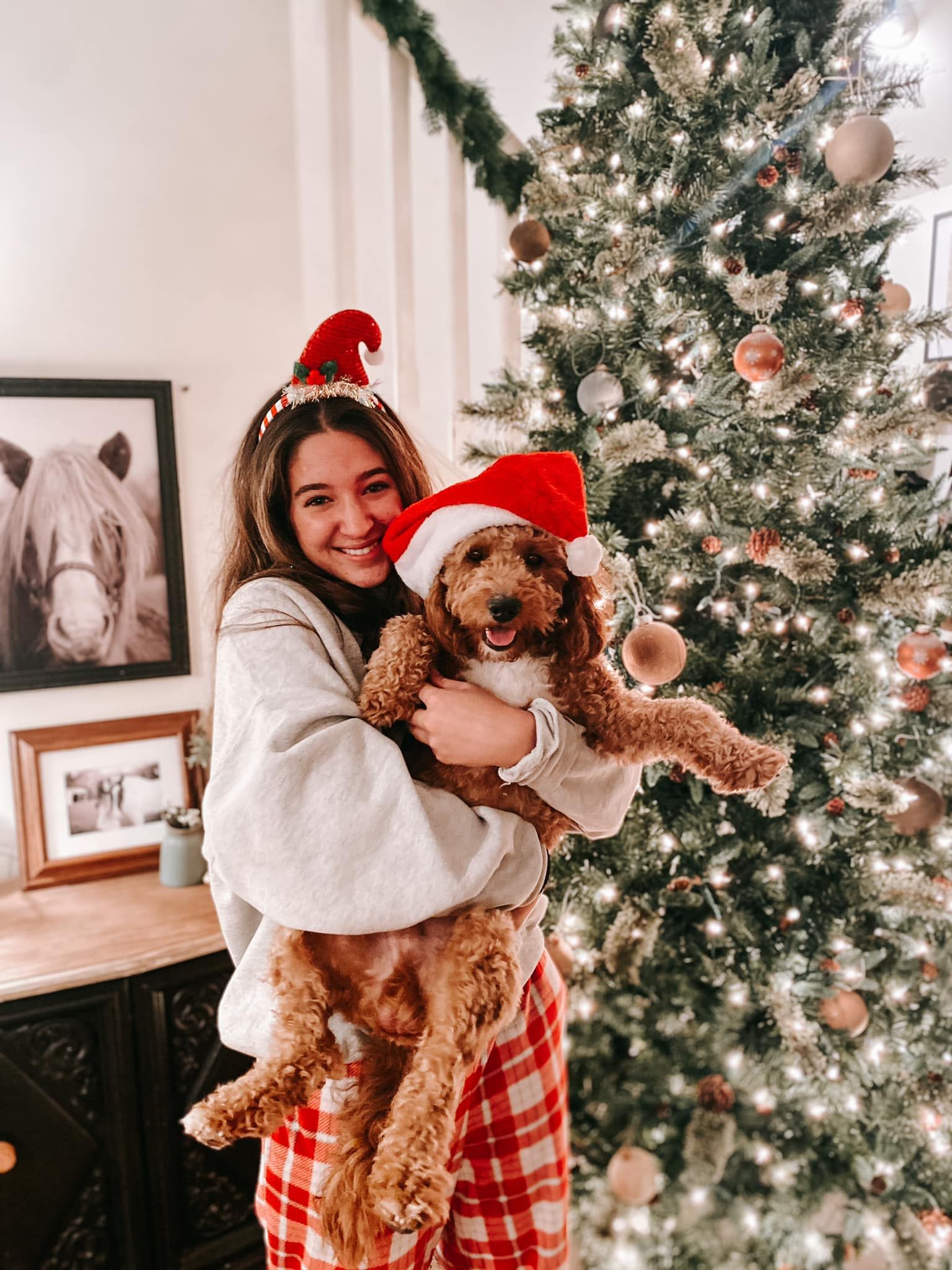 A woman is holding a dog wearing a santa hat in front of a christmas tree.