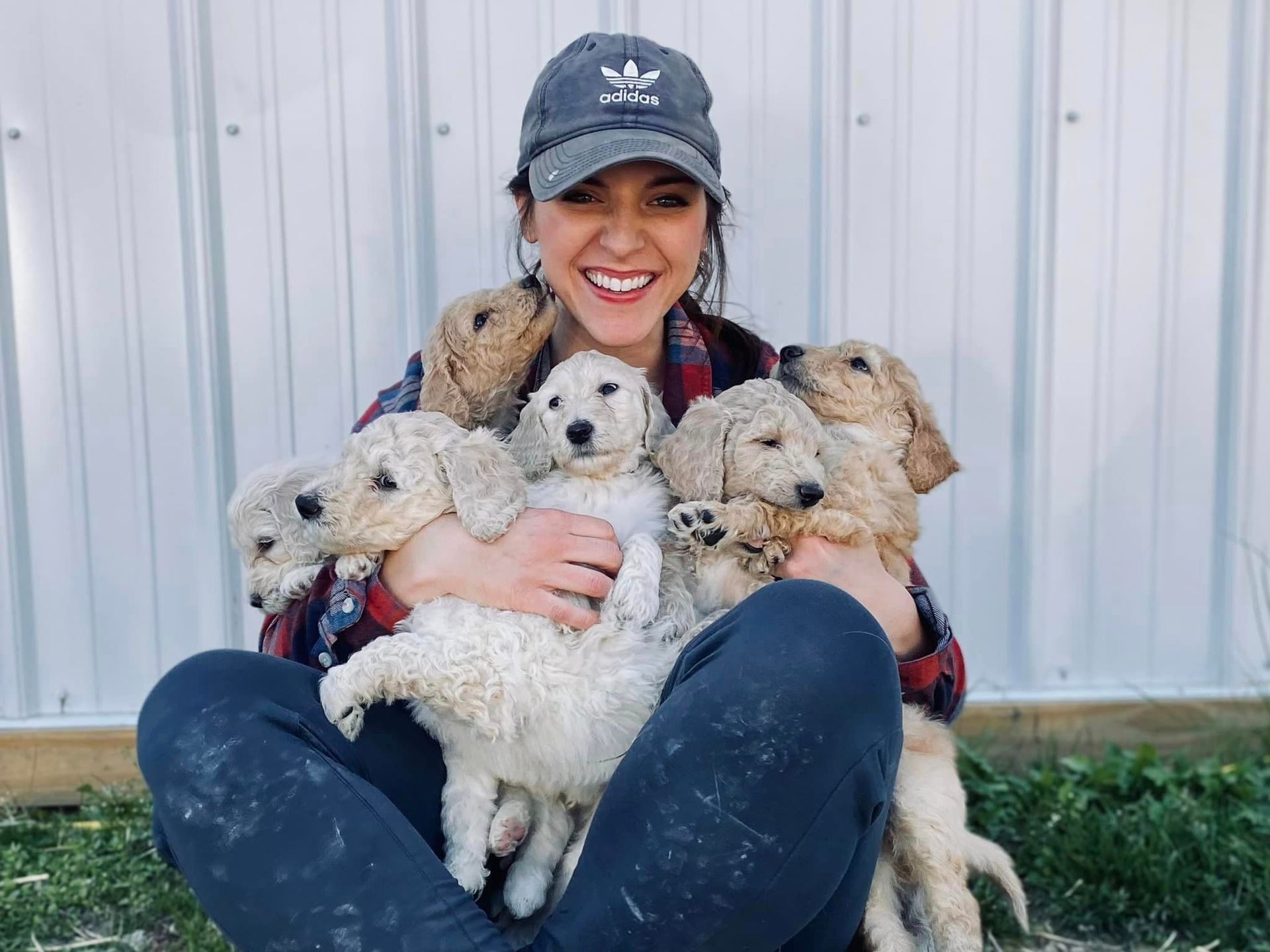 A woman is sitting on the ground holding a bunch of puppies.