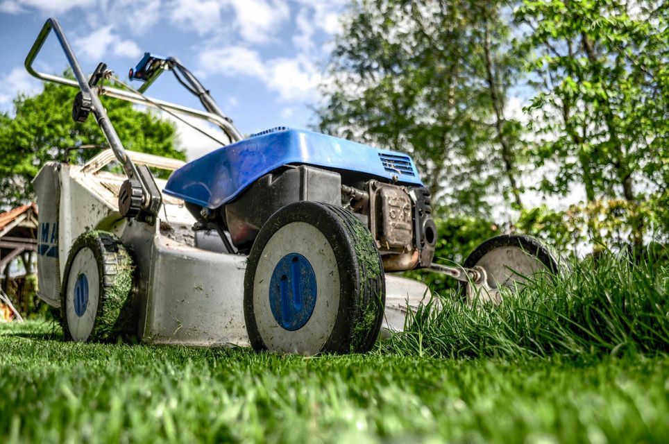 A blue and white lawn mower is sitting on top of a lush green lawn.