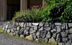 Stone retaining wall with lush green plants and flowers in front of a building.