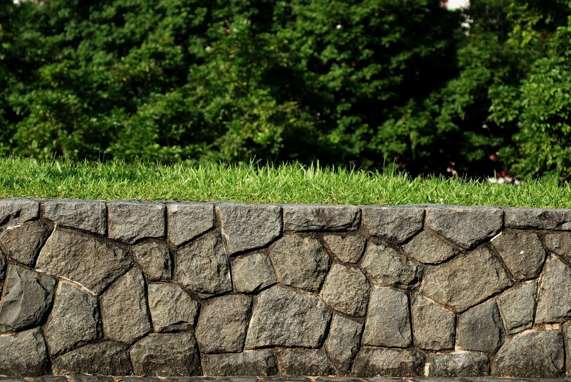 Stone wall with grass and green trees in the background.